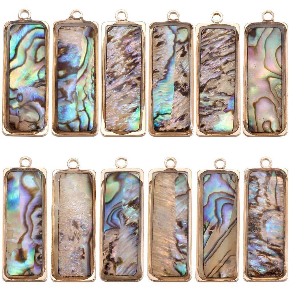 8896 1 Box 12Pcs Paua Shell Charms Natural Abalone Shell Charm Gold Sea